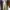 Jungle Storm Streetwear Casual Casual pants Pria cream photo 2
