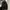 Stussy Streetwear Casual Parka Pria Black