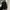 Stussy Streetwear Casual Parka Pria black photo 8
