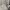 Adidas Indie Casual Sweatshirt Pria gray photo 5