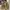 Vintage Casual Fur coat Pria tan photo 4