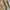 Vintage Casual Fur coat Pria tan photo 3