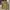 Vintage Casual Fur coat Pria tan photo 1