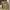 Vintage Casual Fur Coat Pria Tan
