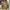 Vintage Casual Fur coat Pria tan photo 5