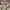 Vintage Casual Fur coat Pria tan photo 6