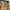 Vintage Casual Fur coat Pria tan photo 2