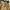 Vintage Casual Fur Coat Pria Tan