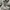 Adidas Indie Casual Hoody Pria gray photo 5