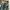 Vintage Casual Trench coat Pria green photo 4