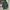 Vintage Casual Trench coat Pria green photo 1