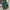 Vintage Casual Trench Coat Pria Green