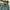 Vintage Casual Trench coat Pria green photo 2