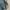 Vintage Casual Trench coat Pria green photo 3