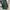 Vintage Casual Trench coat Pria green photo 6