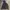 Massimo Dutti Streetwear Casual Windbreaker Wanita gray photo 1