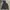 Massimo Dutti Streetwear Casual Windbreaker Wanita Gray