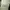 Givenchy Luxury Minimalist Shoulder bag Wanita black photo 6