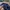Playboy Casual Hoody Wanita multicolor navy photo 5