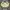 Yonex Streetwear Casual Windbreaker Pria white yellow photo 1