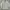 Vintage Casual Windbreaker Pria gray photo 3