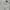 Vintage Casual Windbreaker Pria gray photo 1