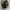 Airwalk Y2K Gorpcore Bag Pria black photo 7