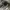 Airwalk Y2K Gorpcore Bag Pria black photo 4