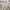 Alstyle Casual T-shirt Pria gray photo 1