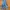 Uniqlo Wide leg jeans Wanita blue photo 1