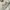 Vintage T-shirt Pria white cream photo 6
