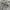 ZARA Streetwear Grunge Sweatshirt Pria gray photo 2