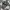 ZARA Streetwear Grunge Sweatshirt Pria gray photo 4