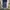 Akademiks Streetwear Y2K Jeans Pria navy blue photo 3