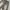 Streetwear Y2K Jeans Pria white gray photo 4
