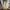True Religion Streetwear Y2K Casual pants Pria khaki photo 2