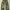 Streetwear Y2K Casual pants Pria brown black photo 3