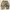 Streetwear Y2K Casual Pants Pria Tan Brown