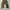 Streetwear Y2K Casual pants Pria brown black photo 3