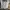 Burberry Streetwear Y2K Jeans Pria silver blue photo 2