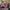MLB Streetwear Sportswear Hat Pria white pink photo 1