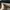 Gucci Luxury Bags & purse Wanita black photo 8