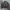 Schott NYC Biker Leather jacket Pria brown photo 3