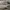 Converse Sportswear Sneakers Pria white photo 2