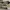 Converse Sportswear Sneakers Pria white photo 4