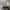 Converse Sportswear Sneakers Pria white photo 5
