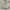 Streetwear Futurist Crop top Wanita white photo 3