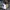 Yohji Yamamoto Vintage Casual Formal shirt Pria white black photo 5