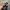 Luxury Minimalist Hat Pria multicolor photo 3