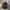 Luxury Minimalist Hat Pria multicolor photo 2